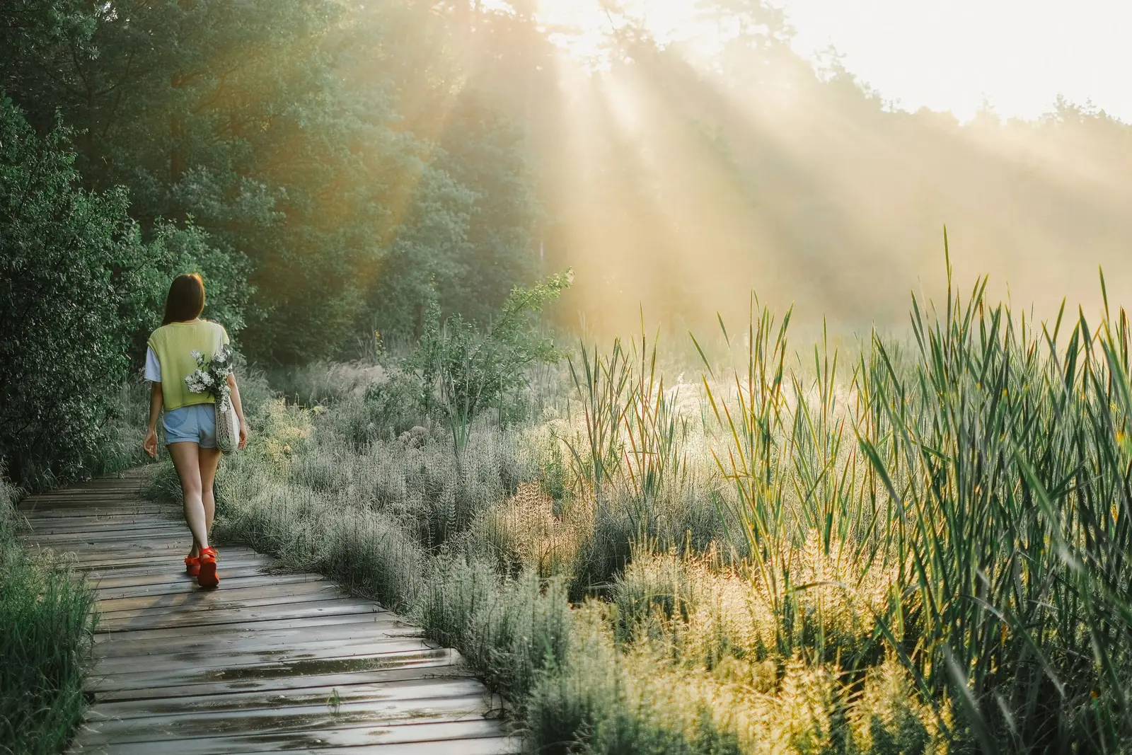 Mulher de costas caminhando por uma passarela de madeira entre a vegetação, com luz do sol da manhã