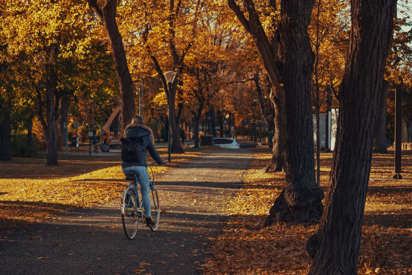 Mulher de costas pedalando por uma alameda arborizada em um parque, com folhas de outono no chão
