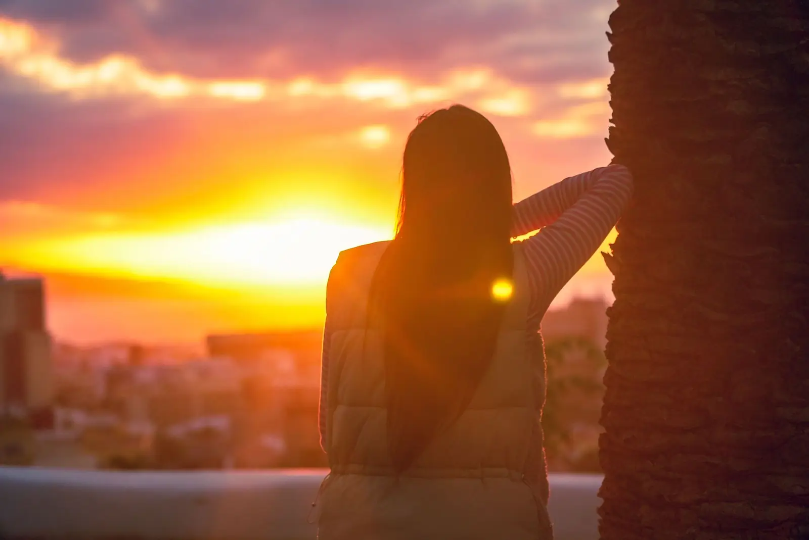 Mulher de costas, com cabelo comprido e solto, apoiada numa palmeira diante do pôr do sol sobre a cidade